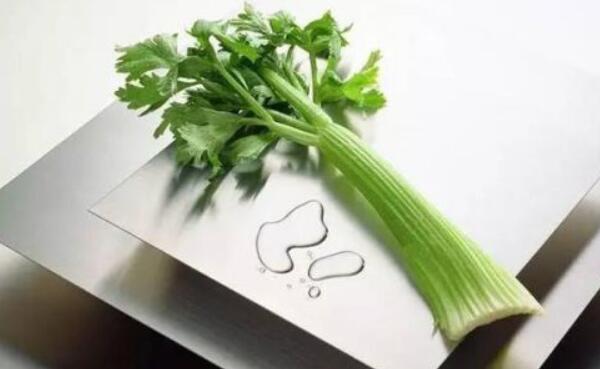 女人吃芹菜的坏处，吃多了腹痛、腹泻（男性吃多杀精）908 / 作者:UFO爱好者 / 帖子ID:82975