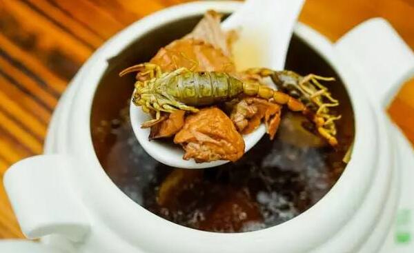 野蝎子能吃吗，毒性大不能吃（药店买专用的蝎子）16 / 作者:UFO爱好者 / 帖子ID:82900