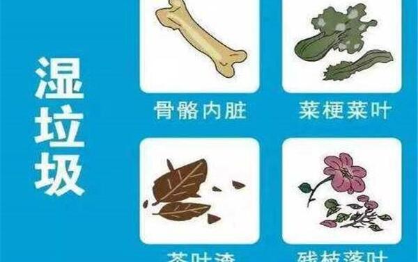 玉米棒子属于什么垃圾，湿垃圾（易腐的垃圾）8 / 作者:UFO爱好者 / 帖子ID:82959