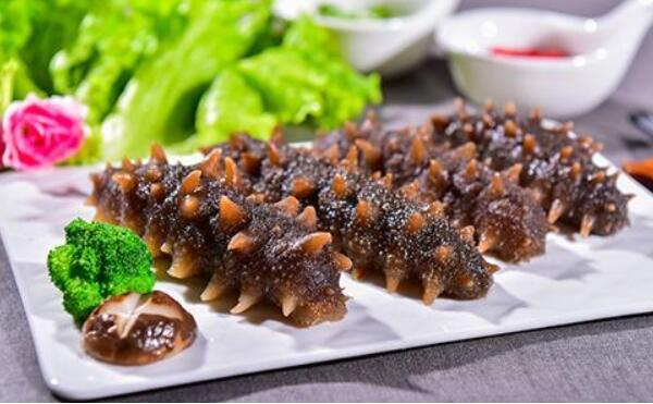海参和虾能一起吃吗，能（同食营养价值更丰富）199 / 作者:UFO爱好者 / 帖子ID:82891