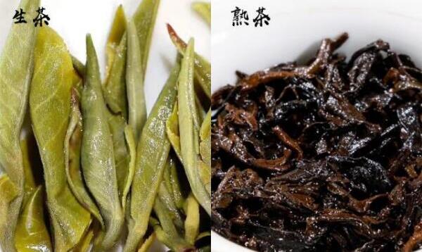 普洱茶生茶熟茶区分，茶色、汤色、茶味、叶底、功效不同278 / 作者:UFO爱好者 / 帖子ID:82729