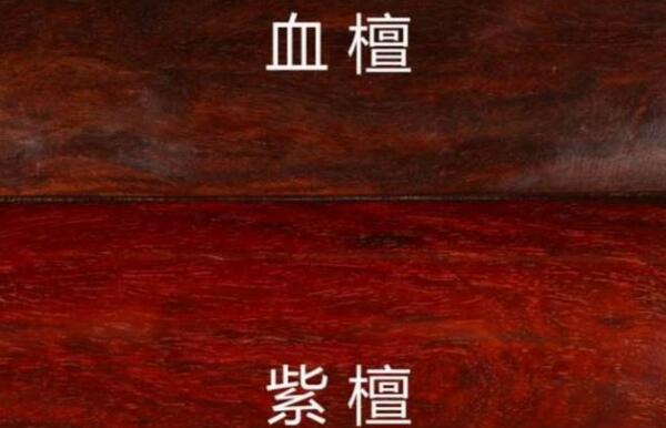血檀有毒吗，血檀与小叶紫檀的区别（无毒两者很相似）637 / 作者:UFO爱好者 / 帖子ID:82654