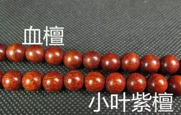 血檀有毒吗，血檀与小叶紫檀的区别（无毒两者很相似）833 / 作者:UFO爱好者 / 帖子ID:82654