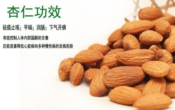 杏仁的功效与作用 杏仁不能和什么一起吃（禁与小米同食）517 / 作者:UFO爱好者 / 帖子ID:82093