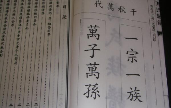 万姓辈分顺序，各地辈分顺序不同（得姓于春秋时的芮伯万）948 / 作者:UFO爱好者 / 帖子ID:82191