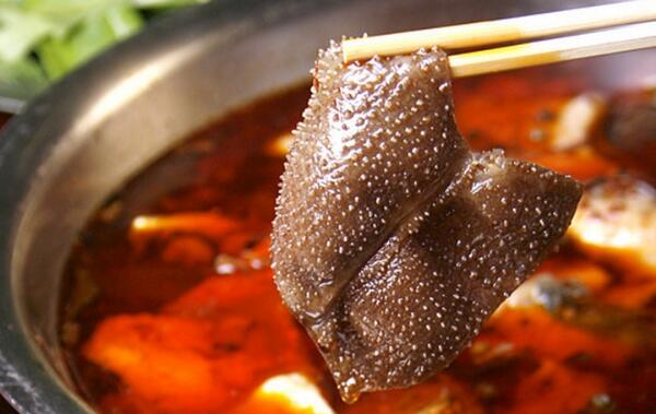 毛肚为什么变成绿色，蛋白质水解变绿（变质也会变绿）363 / 作者:UFO爱好者 / 帖子ID:82195