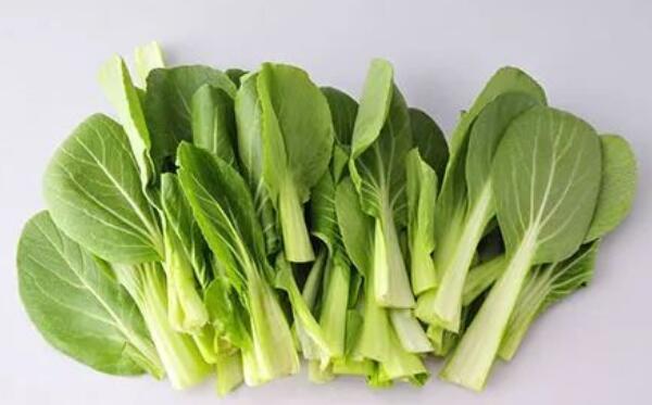 白菜是寒性的吗，是（体弱虚寒的人不宜吃白菜）152 / 作者:UFO爱好者 / 帖子ID:82099