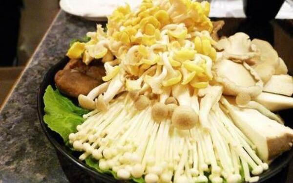 金针菇的营养价值 金针菇不能和什么一起吃（未熟禁食）898 / 作者:UFO爱好者 / 帖子ID:81998