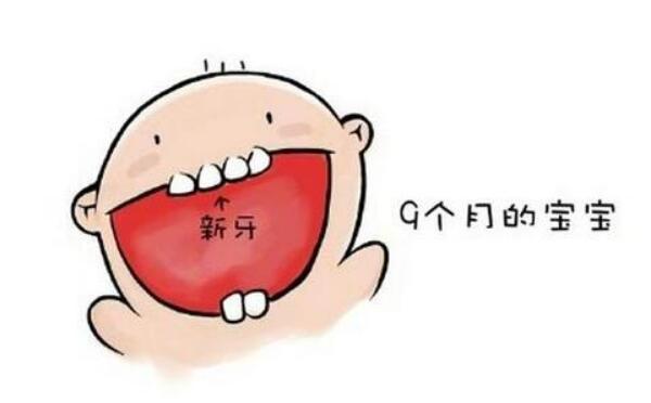 宝宝几个月长牙，4-7个月长第一颗牙（3岁左右牙长齐）761 / 作者:UFO爱好者 / 帖子ID:81810