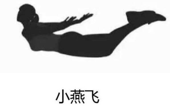 什么人不适合练小燕飞 小燕飞标准动作（学燕子飞的动作）837 / 作者:UFO爱好者 / 帖子ID:81697