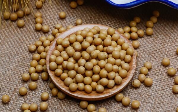 黄豆不能和什么一起吃，菠菜、鸡蛋、猪皮同食（有害健康）567 / 作者:UFO爱好者 / 帖子ID:81408