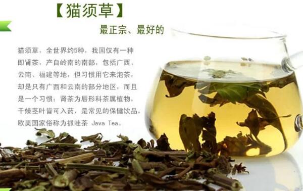 猫须草的正确服用方法，取茎叶洗净/用沸水冲泡（一天2杯）772 / 作者:UFO爱好者 / 帖子ID:81406