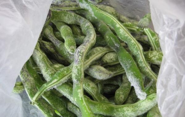 为什么冻豆角有毒，存放时间过长（冻豆角要尽快吃完）686 / 作者:UFO爱好者 / 帖子ID:81322