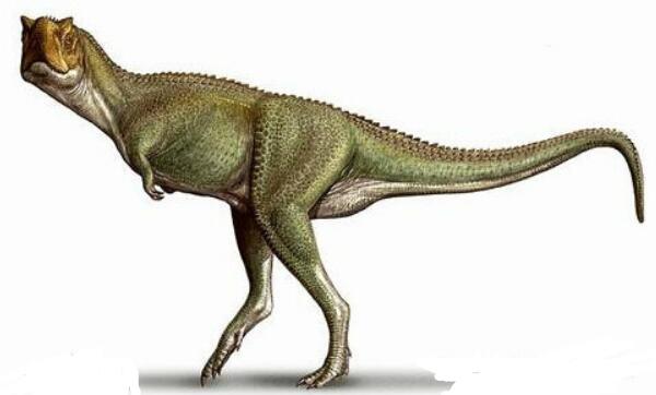 怪踝龙：阿根廷大型食肉恐龙（长8米/距今7000万年前）109 / 作者:UFO爱好者 / 帖子ID:80386