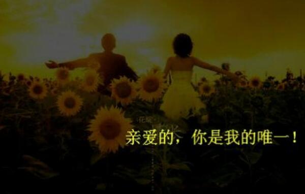 101是什么意思，你是我的唯一（数字爱情密码）358 / 作者:UFO爱好者 / 帖子ID:81144