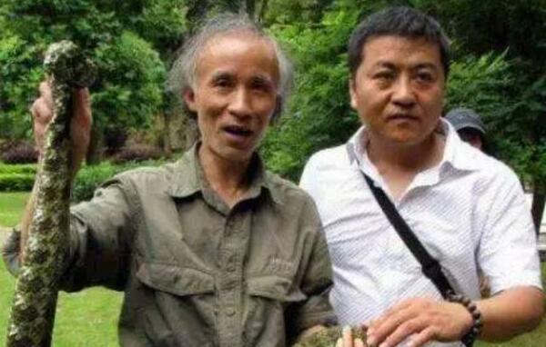 世界上最贵的毒蛇，中国莽山烙铁头蛇（100万一条）409 / 作者:UFO爱好者 / 帖子ID:94063