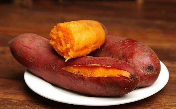 红薯和土豆能一起吃吗，能一起吃（经常同食容易发胖）794 / 作者:UFO爱好者 / 帖子ID:80916