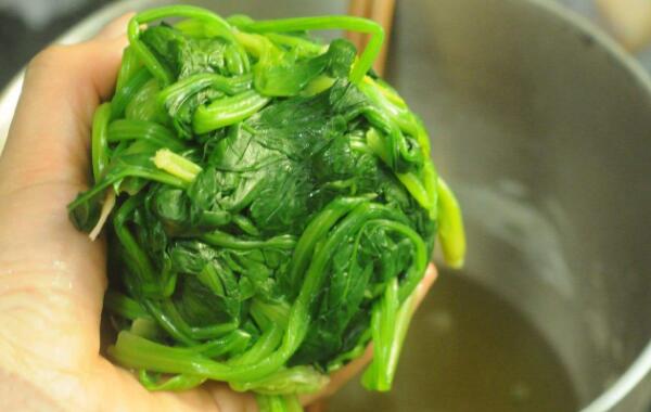 吃菠菜能减肥吗，能帮助减肥（增加饱腹感/促进消化）224 / 作者:UFO爱好者 / 帖子ID:80807