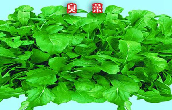 改刀肉是什么地方的菜，东北菜（一道非常重视刀工的菜）67 / 作者:UFO爱好者 / 帖子ID:80736
