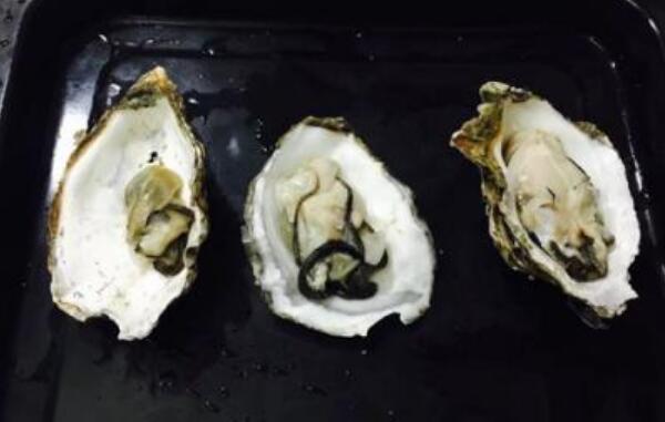 生蚝里面黑色的能吃吗，不能吃（黑色是泥沙和代谢物）231 / 作者:UFO爱好者 / 帖子ID:80645