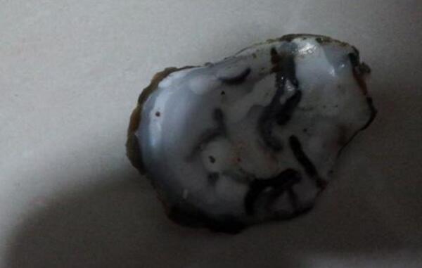 生蚝里面黑色的能吃吗，不能吃（黑色是泥沙和代谢物）612 / 作者:UFO爱好者 / 帖子ID:80645