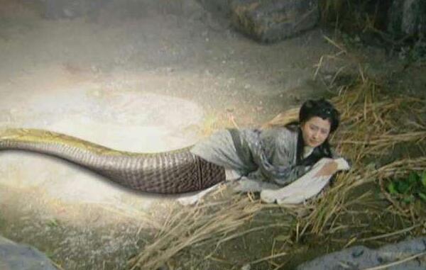 为什么女娲是一条蛇：人身代表人/蛇身代表兽（万物之主）252 / 作者:UFO爱好者 / 帖子ID:78811