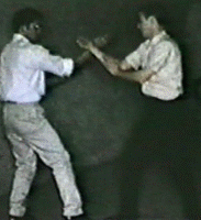 李小龙一秒9拳是真的吗，全速不止9拳（世界纪录13拳）931 / 作者:UFO爱好者 / 帖子ID:78102