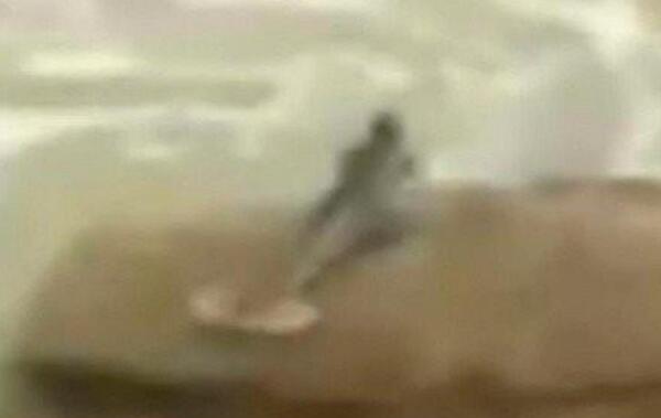 以色列美人鱼真实事件：美人鱼躺在沙滩上（网友视频为证）747 / 作者:UFO爱好者 / 帖子ID:100424