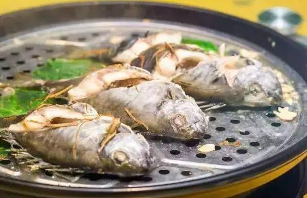 泥猛鱼什么人不能吃 泥猛鱼营养价值和功效（改善睡眠）987 / 作者:UFO爱好者 / 帖子ID:74947