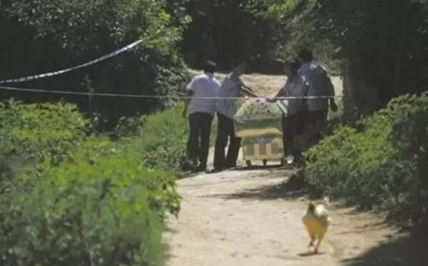 9·20河南挖眼抛尸案结果：9岁男童被挖眼，失血休克而死830 / 作者:UFO爱好者 / 帖子ID:99545