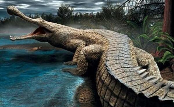狮鼻鳄：有狮子鼻的鳄鱼，6500万年的史前生物（图片）133 / 作者:UFO爱好者 / 帖子ID:73124