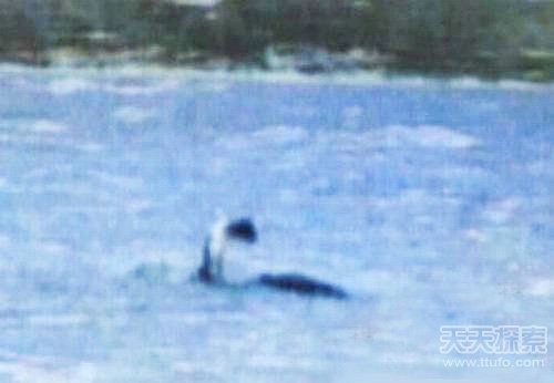 长白山水怪目击实录 史前蛇颈龙复活636 / 作者:UFO爱好者 / 帖子ID:86156