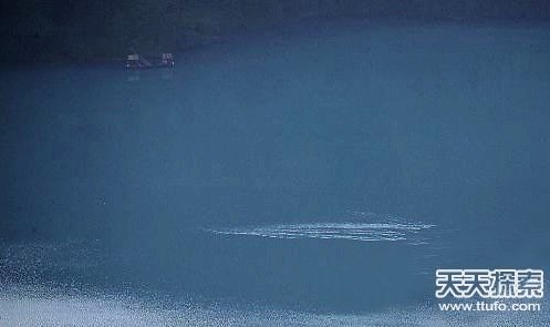 长白山水怪目击实录 史前蛇颈龙复活883 / 作者:UFO爱好者 / 帖子ID:86156