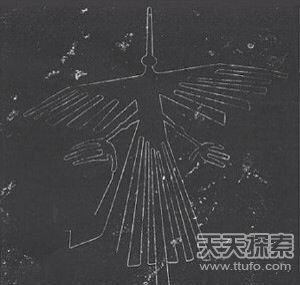 史前飞机之谜！震惊全球的36个未解之谜969 / 作者:UFO爱好者 / 帖子ID:80093