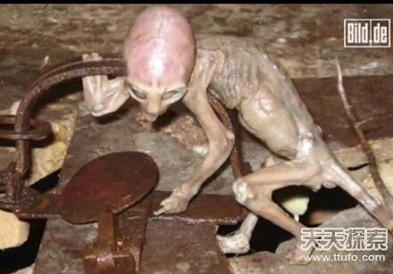 16张图告诉你外星人真的存在248 / 作者:UFO爱好者 / 帖子ID:73809