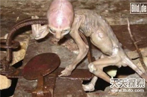 俄罗斯惊现球状闪电 疑似发光UFO894 / 作者:UFO爱好者 / 帖子ID:73152
