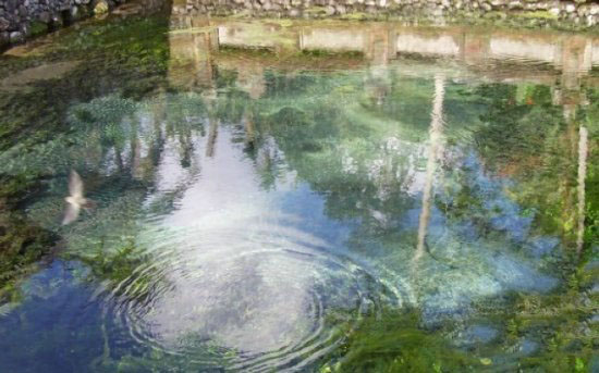 至今仍然无解的九十九大谜团362 / 作者:UFO爱好者 / 帖子ID:80977