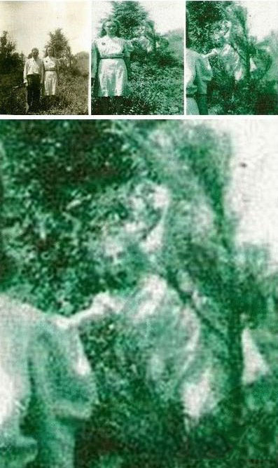 至今仍然无解的九十九大谜团290 / 作者:UFO爱好者 / 帖子ID:80977