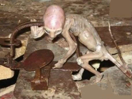 至今仍然无解的九十九大谜团87 / 作者:UFO爱好者 / 帖子ID:80977