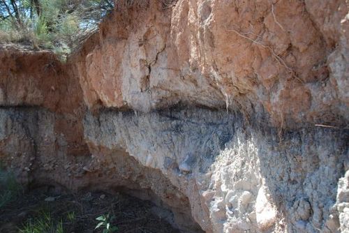 800年前手机出土 外星人存在的铁证曝光466 / 作者:UFO爱好者 / 帖子ID:80976