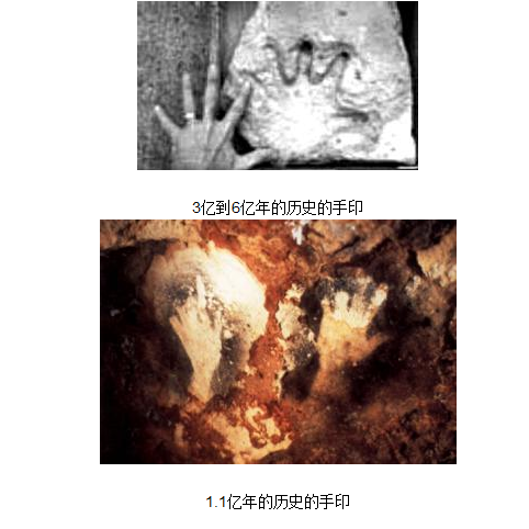 800年前手机出土 外星人存在的铁证曝光203 / 作者:UFO爱好者 / 帖子ID:80976