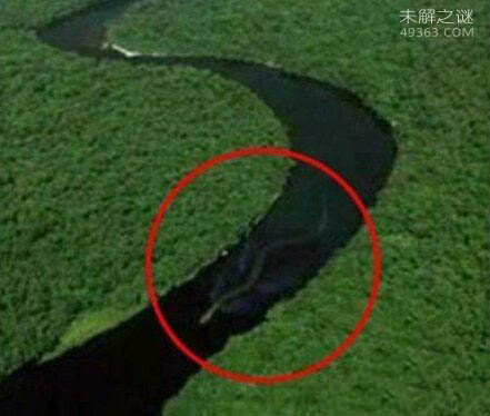 大海蛇的真身到底是什么?是蛇颈龙吗?661 / 作者:UFO爱好者 / 帖子ID:76974