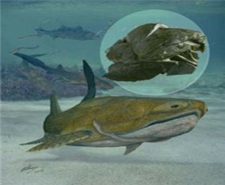 奥古布古水怪未解谜团676 / 作者:UFO爱好者 / 帖子ID:85849