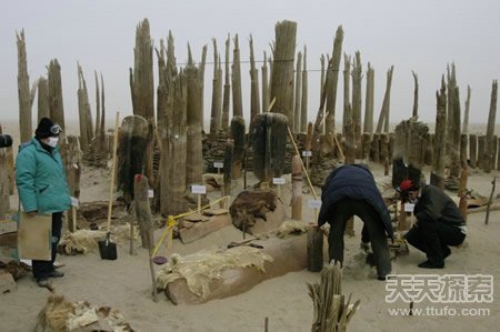震惊世界的未解之谜569 / 作者:UFO爱好者 / 帖子ID:80603