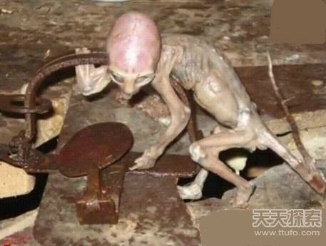 震惊世界的未解之谜541 / 作者:UFO爱好者 / 帖子ID:80603