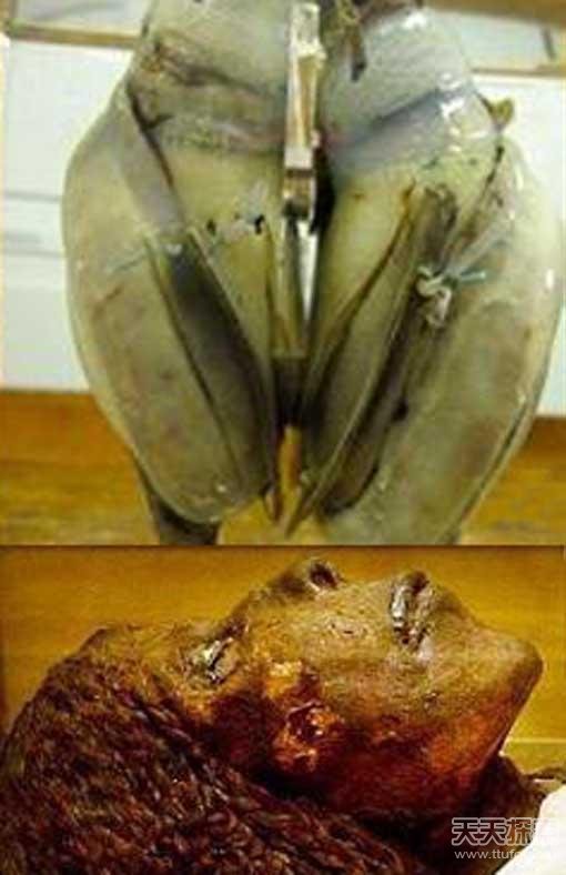 十大考古之谜 两千年的电脑谁发明的652 / 作者:UFO爱好者 / 帖子ID:80703