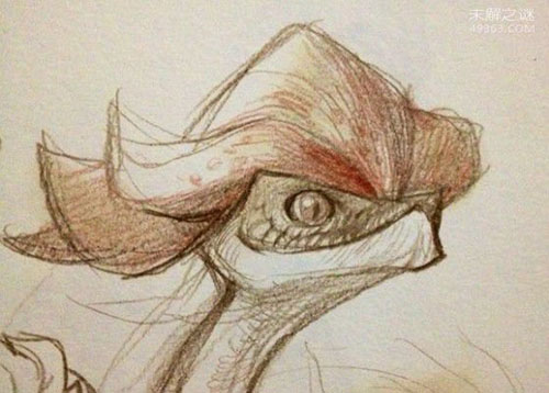 鸡冠蛇的传说:不是一种蛇类，而是其他生物576 / 作者:UFO爱好者 / 帖子ID:82772