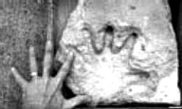 28惊人证据外星人存在728 / 作者:UFO爱好者 / 帖子ID:82384