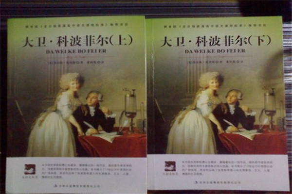 世界影响最大的十本书 巴黎圣母院是伟大的浪漫作品869 / 作者:UFO爱好者 / 帖子ID:95555