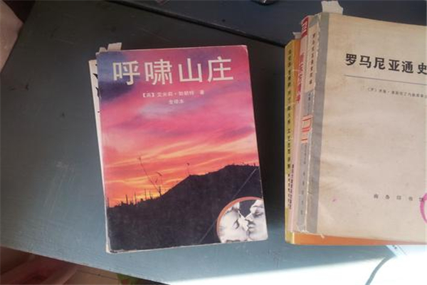 世界影响最大的十本书 巴黎圣母院是伟大的浪漫作品982 / 作者:UFO爱好者 / 帖子ID:95555